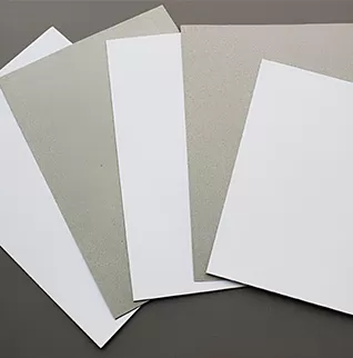 لوح تيستلاينر أبيض الوجه (WTL)
